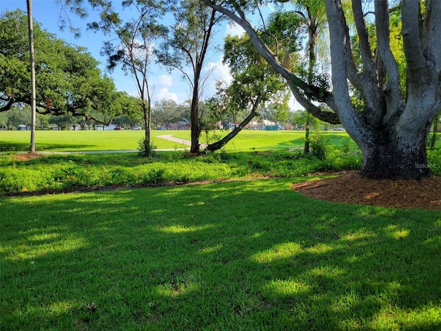 1042 Idlewild Dr N, Dunedin, FL 34698 - view of home's community with a lawn