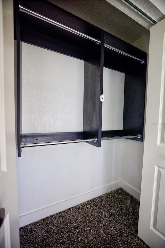 1042 Idlewild Dr N, Dunedin, FL 34698 - view of closet