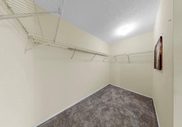 8198 Terrace Garden Dr N Unit 403, Saint Petersburg, FL 33709 - photo 25