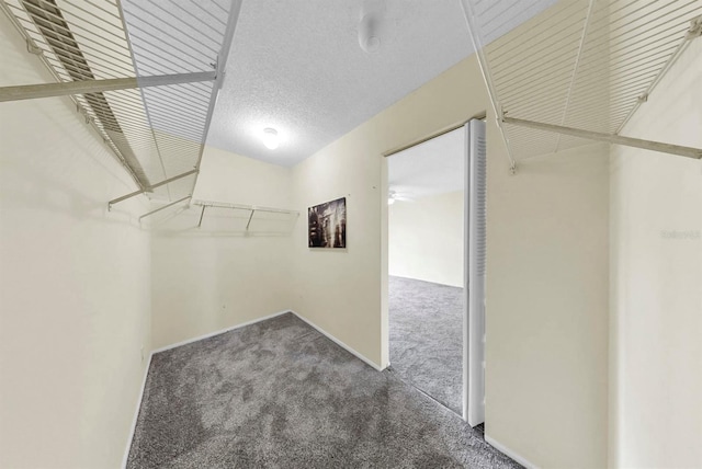 8198 Terrace Garden Dr N Unit 403, Saint Petersburg, FL 33709 - photo 26