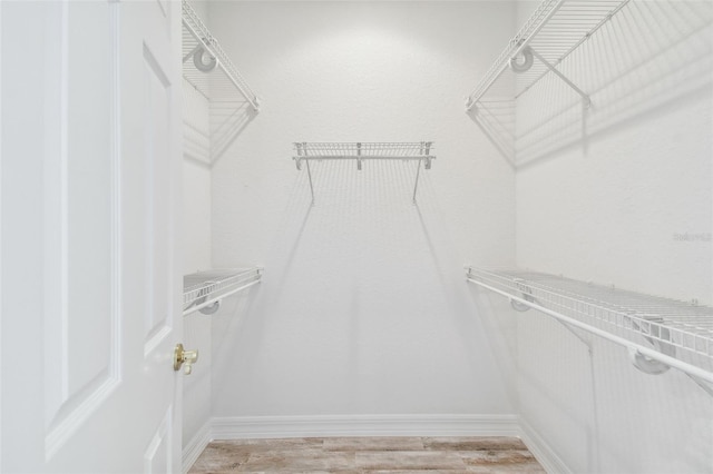 spacious closet with wood-type flooring