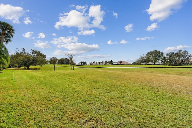 view of property's community with a yard