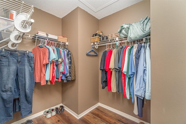 spacious closet with hardwood / wood-style floors