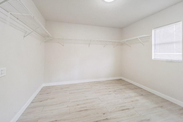 spacious closet with light hardwood / wood-style floors