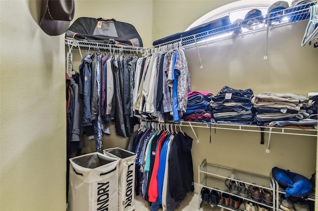 12709 Mannhurst Oak Ln, Lithia, FL 33547 - view of walk in closet