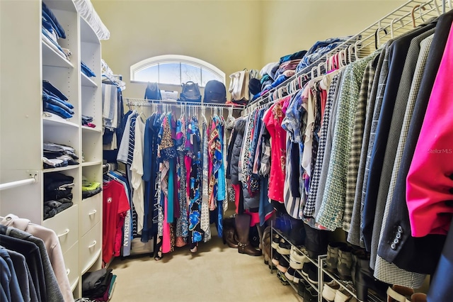 walk in closet featuring carpet floors