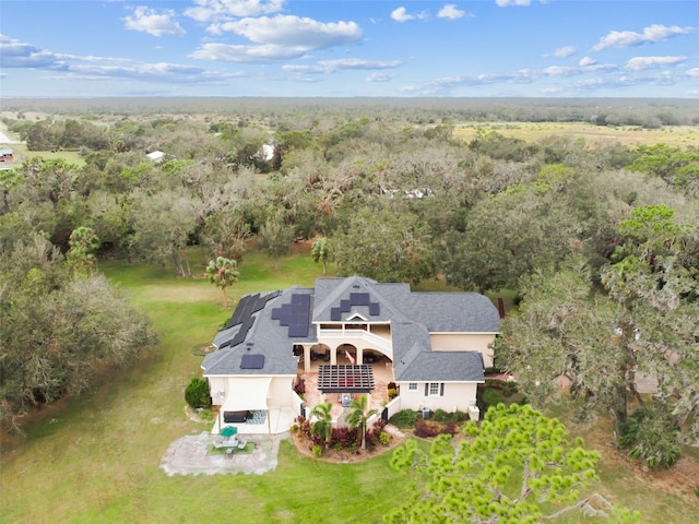 12709 Mannhurst Oak Ln, Lithia, FL 33547 - view of subject property featuring a heavily wooded area