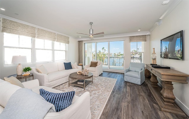 living room with ceiling fan, crown molding, a wealth of natural light, and dark wood-type flooring