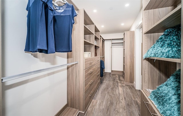 spacious closet with hardwood / wood-style flooring