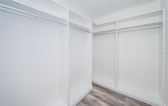 walk in closet with hardwood / wood-style flooring