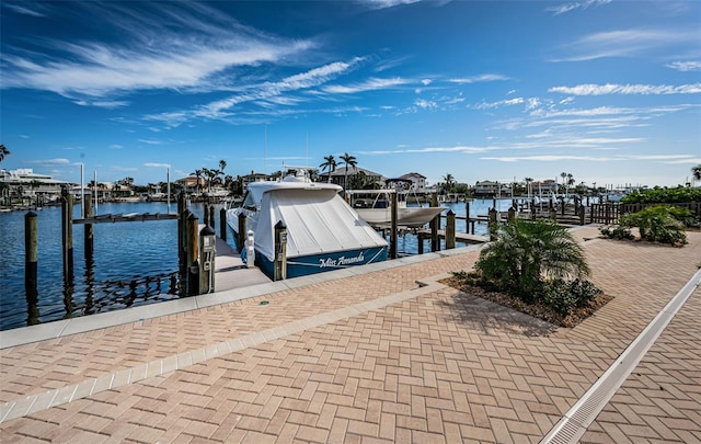 dock area with a water view