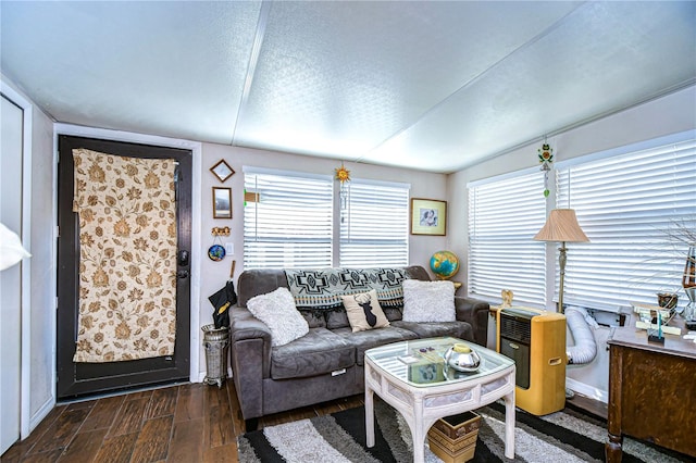 living room featuring dark wood-type flooring