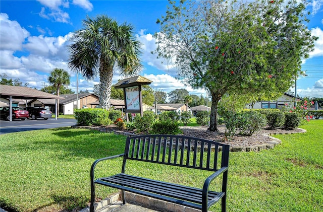 view of community with a yard