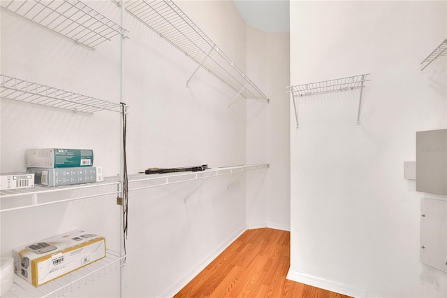 walk in closet featuring hardwood / wood-style floors