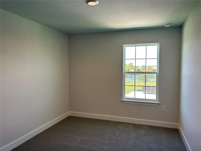 spare room with carpet and a textured ceiling