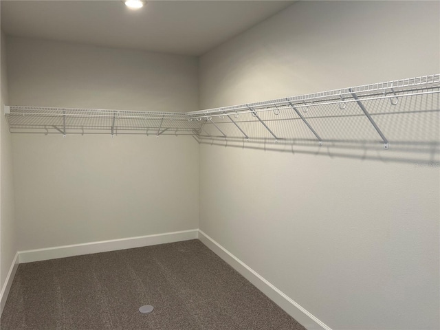 spacious closet featuring carpet