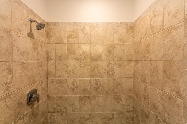 room details with a tile shower