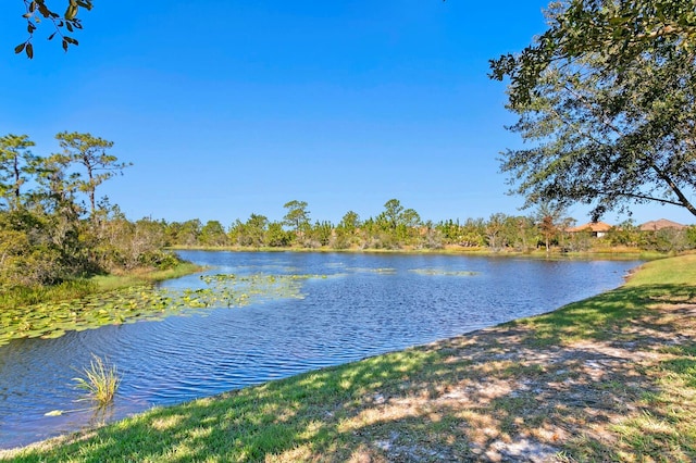 property view of water