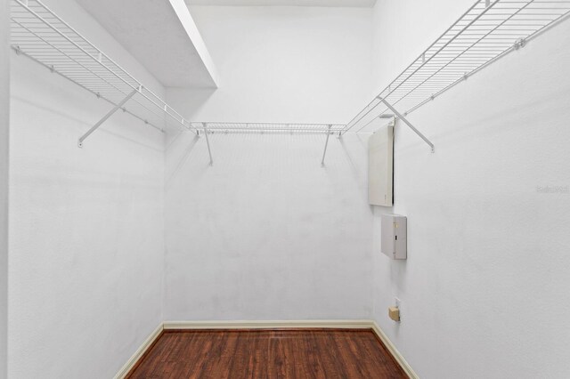 spacious closet featuring dark wood-type flooring