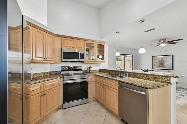 kitchen with dark stone counters, sink, and stainless steel appliances