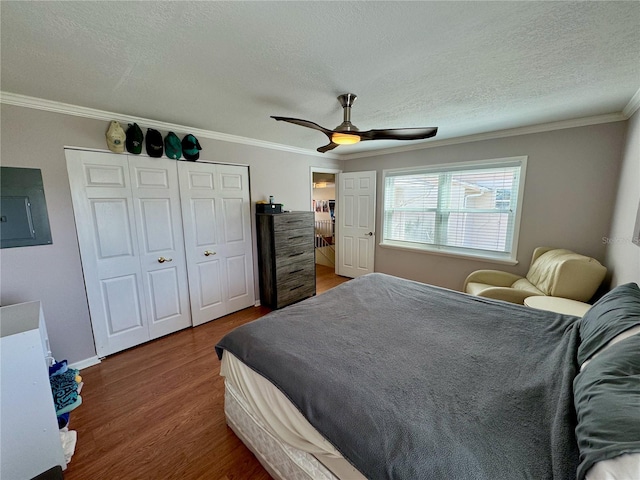 bedroom with ornamental molding, a textured ceiling, ceiling fan, wood-type flooring, and a closet