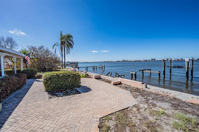 dock area with a water view