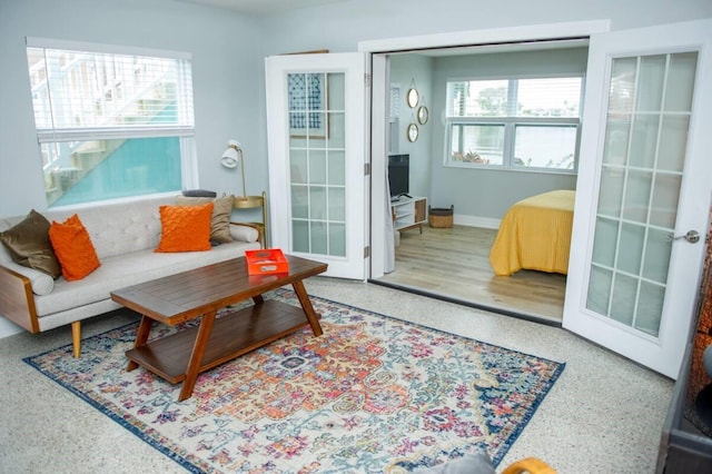 living room featuring hardwood / wood-style floors, french doors, and a healthy amount of sunlight