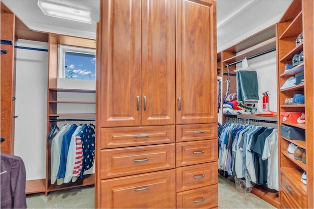 walk in closet featuring light carpet