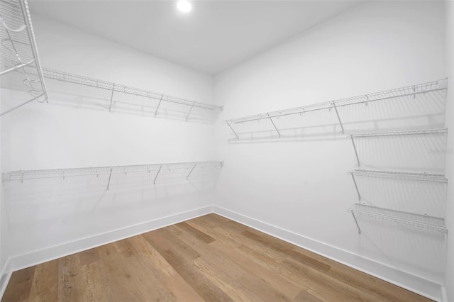 walk in closet featuring wood-type flooring