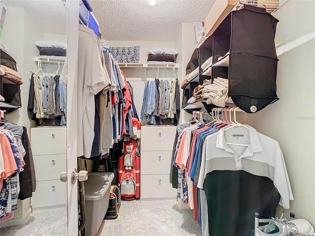 spacious closet featuring light carpet