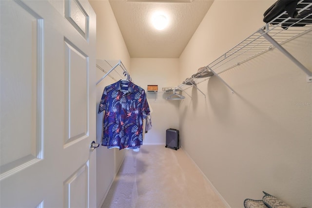 walk in closet with carpet flooring