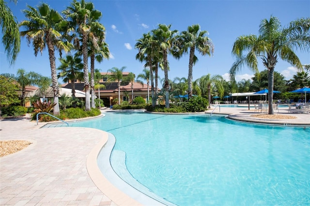 view of swimming pool featuring a patio area