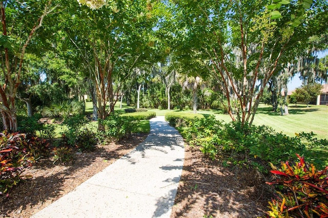 view of home's community featuring a lawn