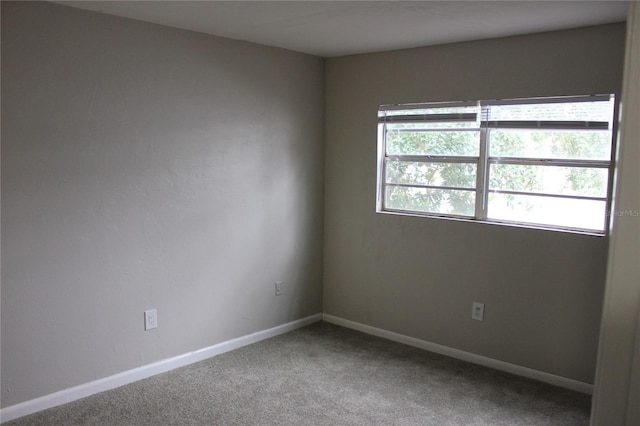 unfurnished room featuring carpet