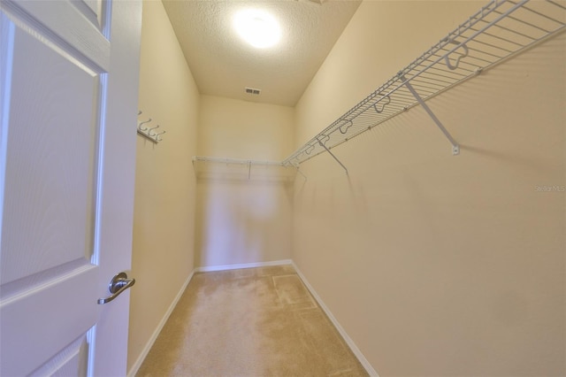 spacious closet with carpet floors