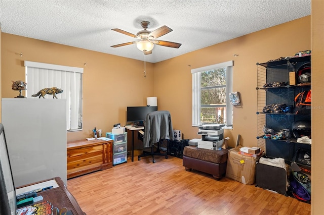 office featuring ceiling fan, light hardwood / wood-style flooring, and a textured ceiling