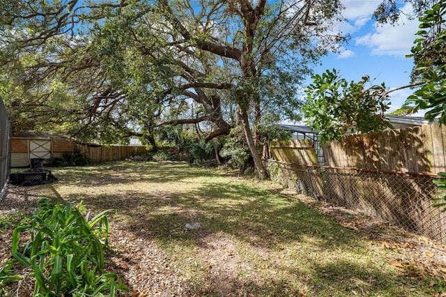 view of yard with a storage unit