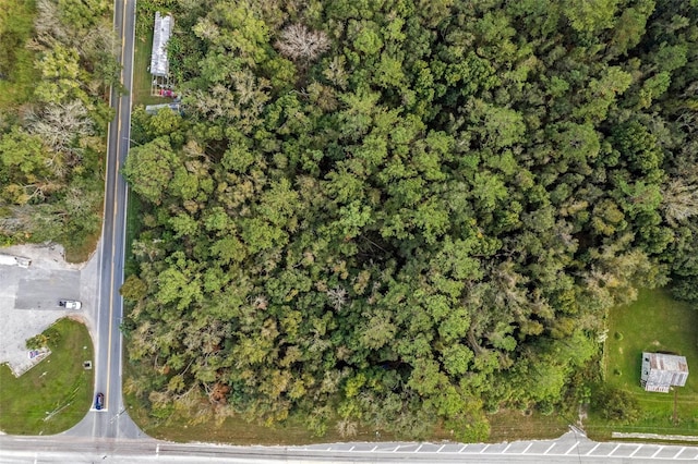 00 Fort Dade Ave, Brooksville, FL 34601 - photo 2