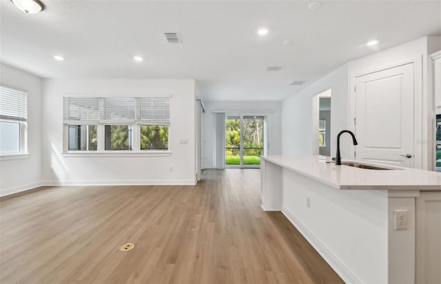 kitchen with sink, a center island with sink, and light hardwood / wood-style flooring