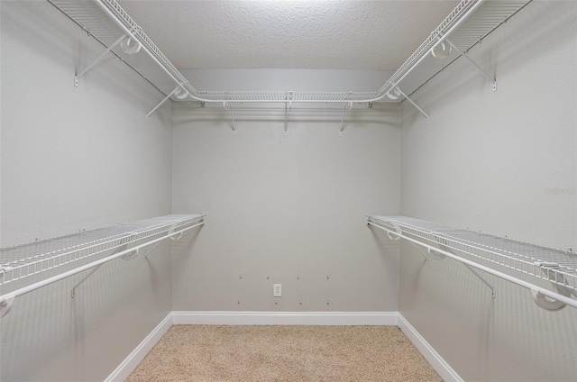 spacious closet with light carpet