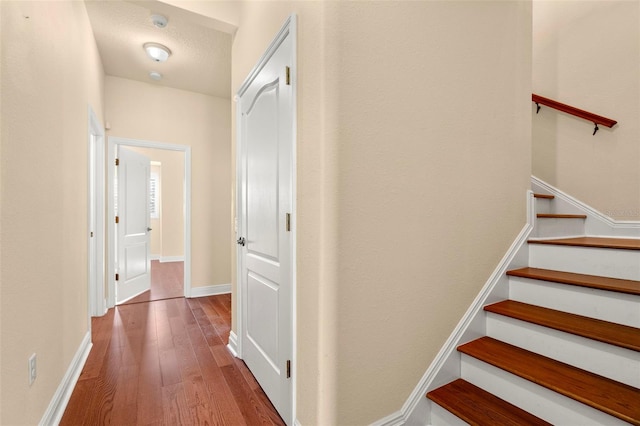 562 Rivercrest Ln, Tarpon Springs, FL 34689 - stairs featuring hardwood / wood-style floors and baseboards