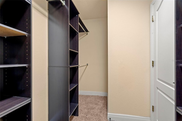 spacious closet with carpet flooring