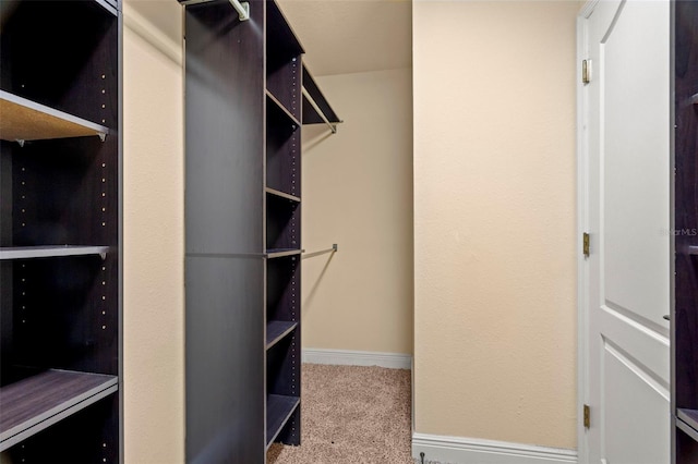 562 Rivercrest Ln, Tarpon Springs, FL 34689 - spacious closet with carpet floors