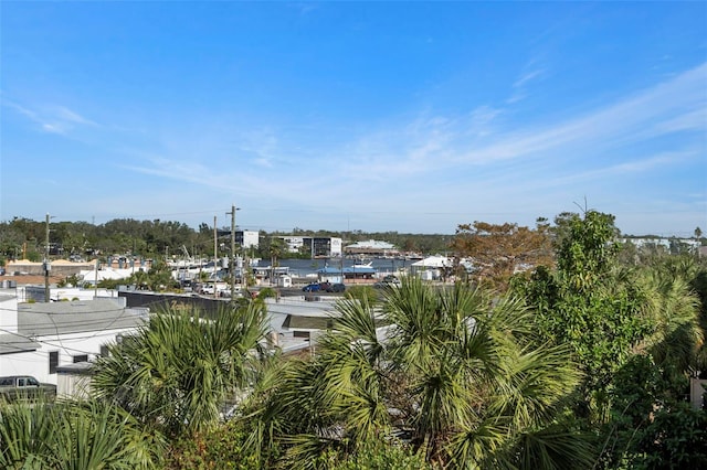 562 Rivercrest Ln, Tarpon Springs, FL 34689 - water view