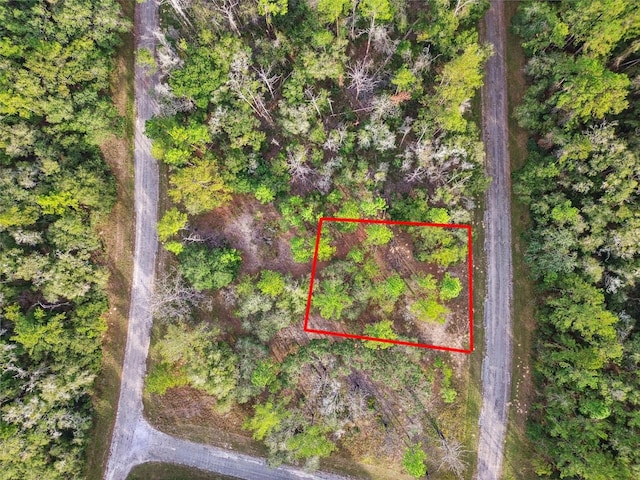 825 E Toledo Dr, Citrus Springs FL, 34434 land for sale