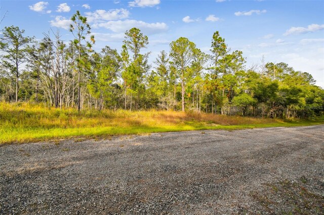 825 E Toledo Dr, Citrus Springs, FL 34434 - photo 2