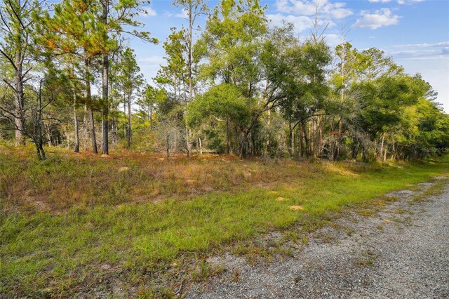 825 E Toledo Dr, Citrus Springs, FL 34434 - photo 3