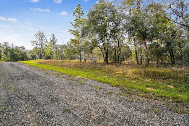825 E Toledo Dr, Citrus Springs, FL 34434 - photo 4