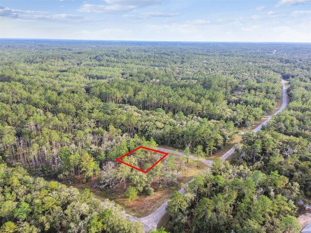 825 E Toledo Dr, Citrus Springs, FL 34434 - photo 6
