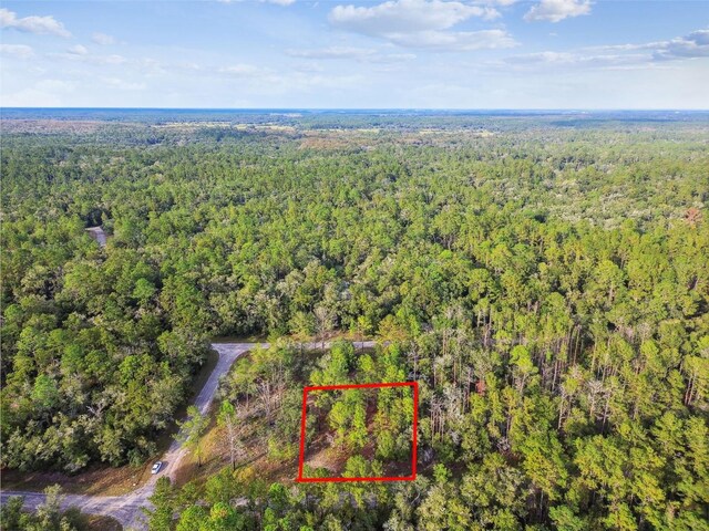825 E Toledo Dr, Citrus Springs, FL 34434 - photo 7